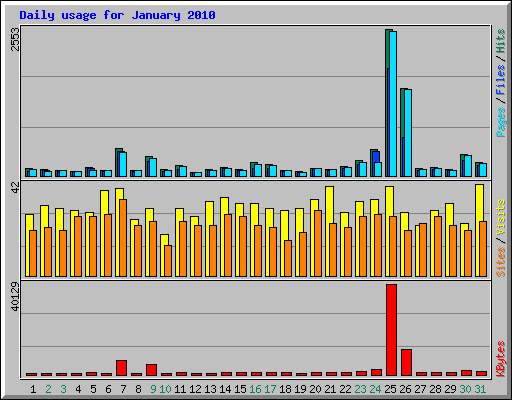 Daily usage for January 2010