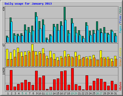 Daily usage for January 2013