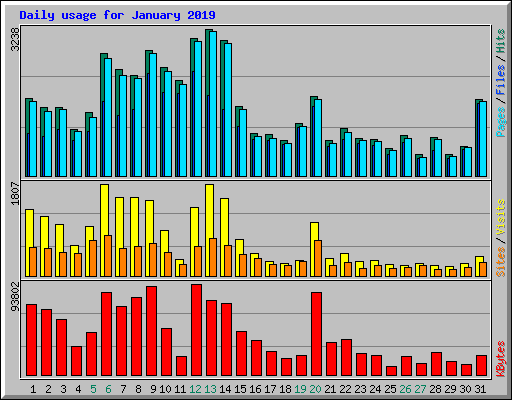 Daily usage for January 2019
