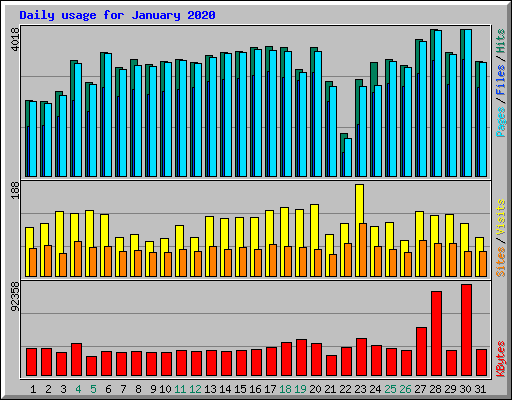 Daily usage for January 2020