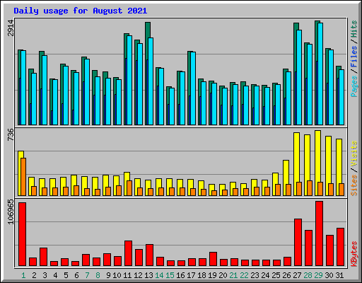 Daily usage for August 2021