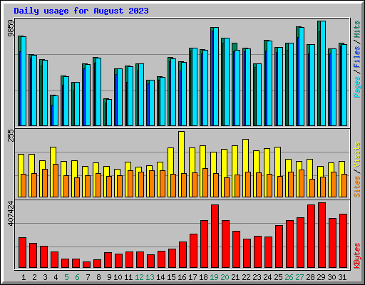 Daily usage for August 2023