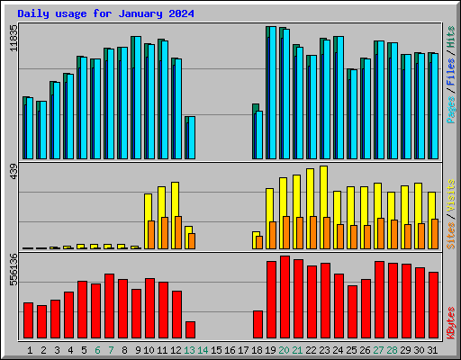 Daily usage for January 2024