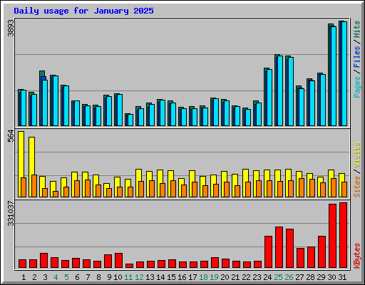 Daily usage for January 2025