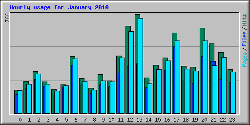 Hourly usage for January 2010