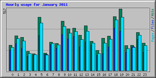 Hourly usage for January 2011