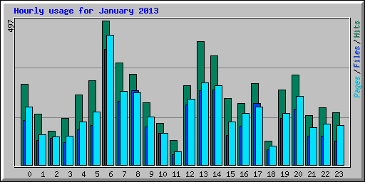 Hourly usage for January 2013