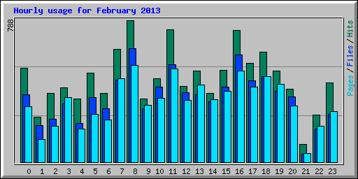 Hourly usage for February 2013