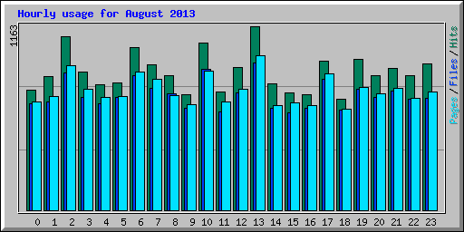 Hourly usage for August 2013