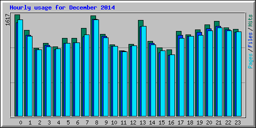 Hourly usage for December 2014