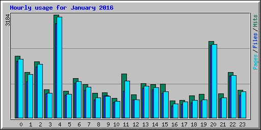 Hourly usage for January 2016