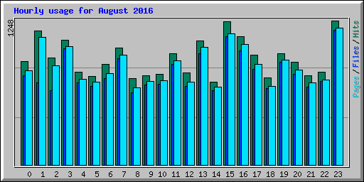 Hourly usage for August 2016