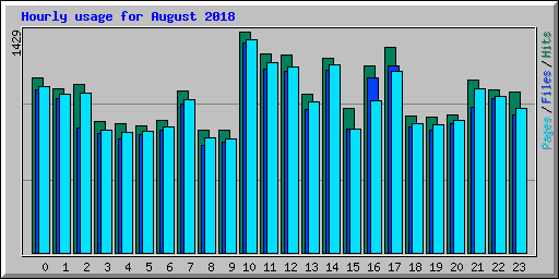 Hourly usage for August 2018