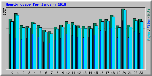 Hourly usage for January 2019