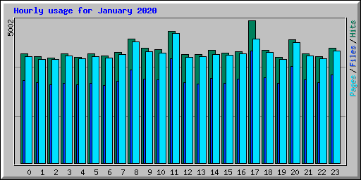 Hourly usage for January 2020