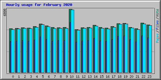 Hourly usage for February 2020