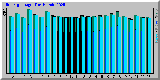 Hourly usage for March 2020