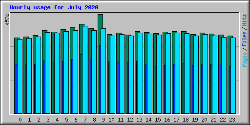 Hourly usage for July 2020