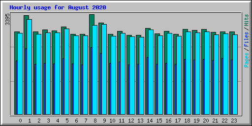 Hourly usage for August 2020