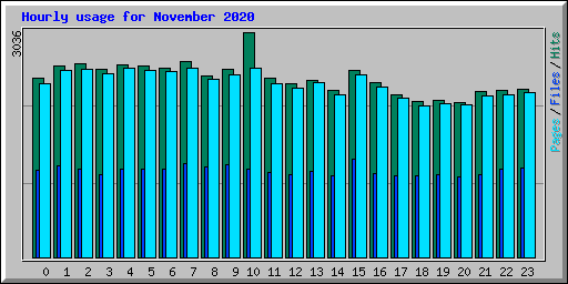 Hourly usage for November 2020