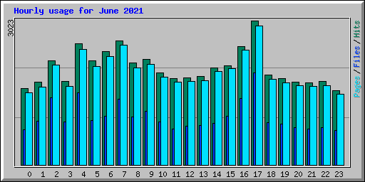 Hourly usage for June 2021