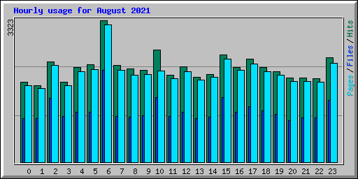 Hourly usage for August 2021