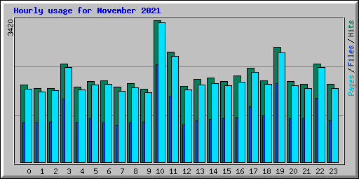 Hourly usage for November 2021