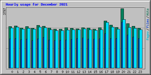 Hourly usage for December 2021