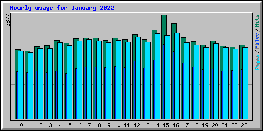 Hourly usage for January 2022