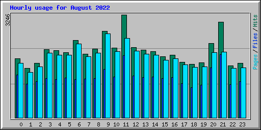 Hourly usage for August 2022