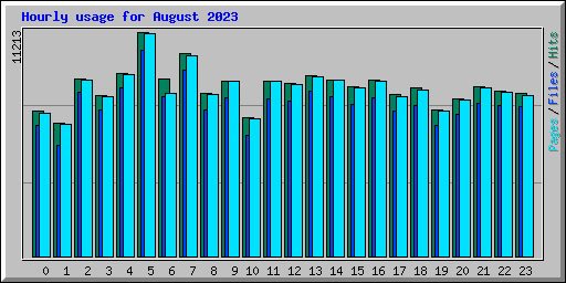 Hourly usage for August 2023