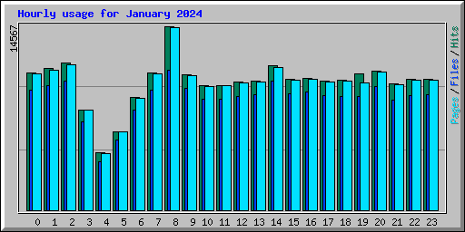 Hourly usage for January 2024