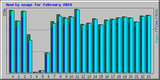 Hourly usage for February 2024