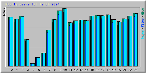 Hourly usage for March 2024