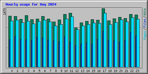 Hourly usage for May 2024