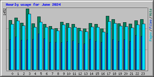 Hourly usage for June 2024