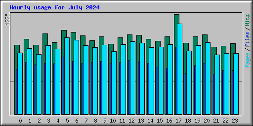 Hourly usage for July 2024