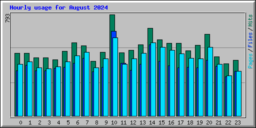 Hourly usage for August 2024