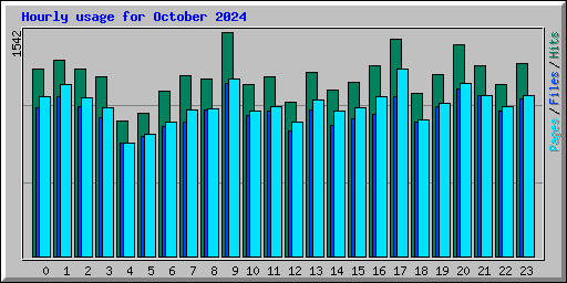 Hourly usage for October 2024