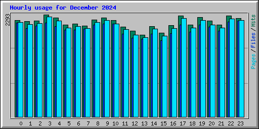 Hourly usage for December 2024