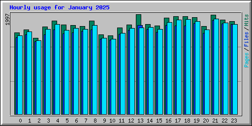 Hourly usage for January 2025