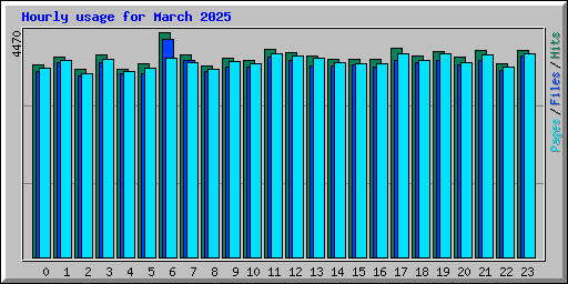 Hourly usage for March 2025