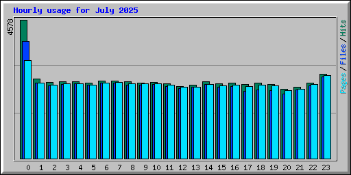 Hourly usage for July 2025