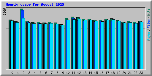 Hourly usage for August 2025