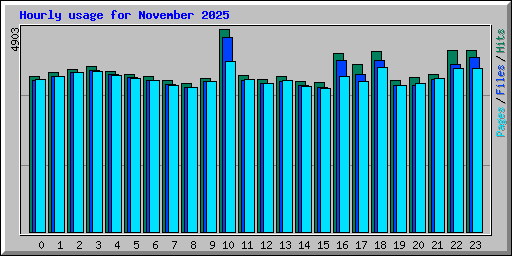 Hourly usage for November 2025
