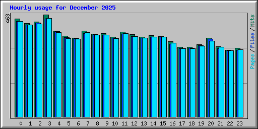 Hourly usage for December 2025