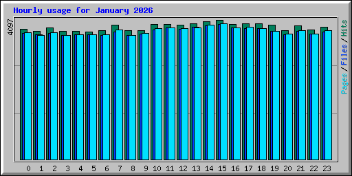 Hourly usage for January 2026